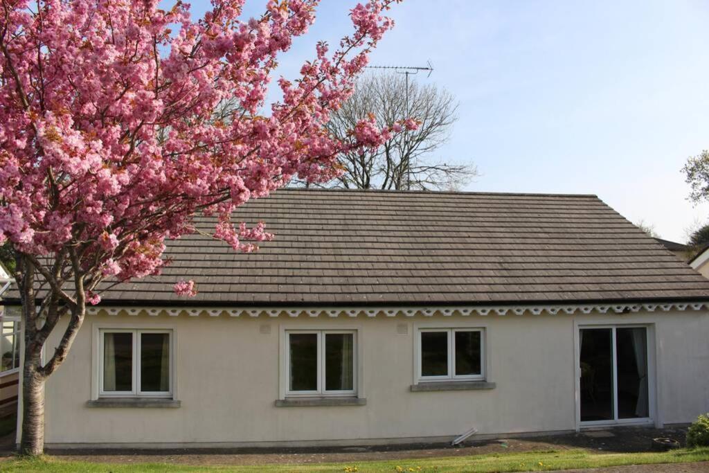 Sunny Bungalow Courtown Buitenkant foto