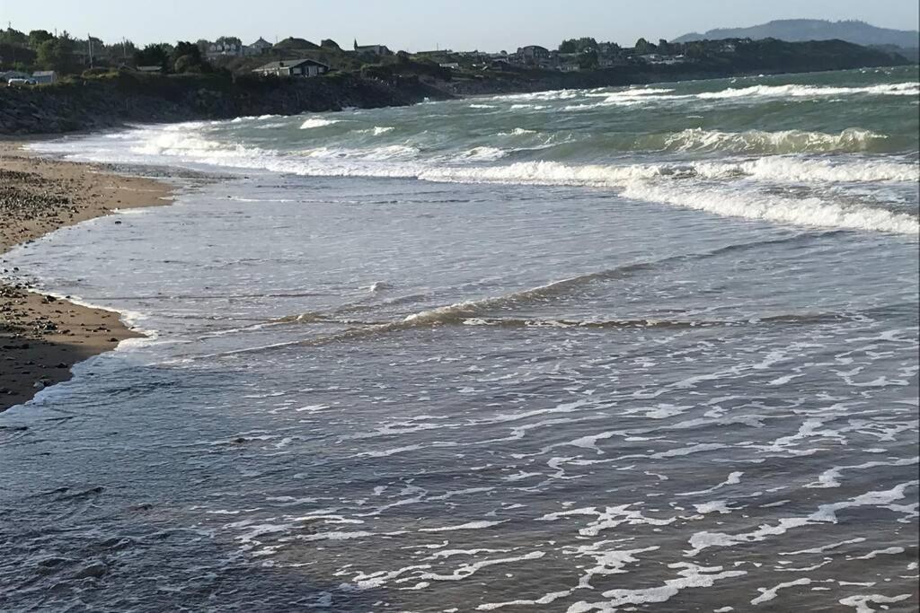 Sunny Bungalow Courtown Buitenkant foto