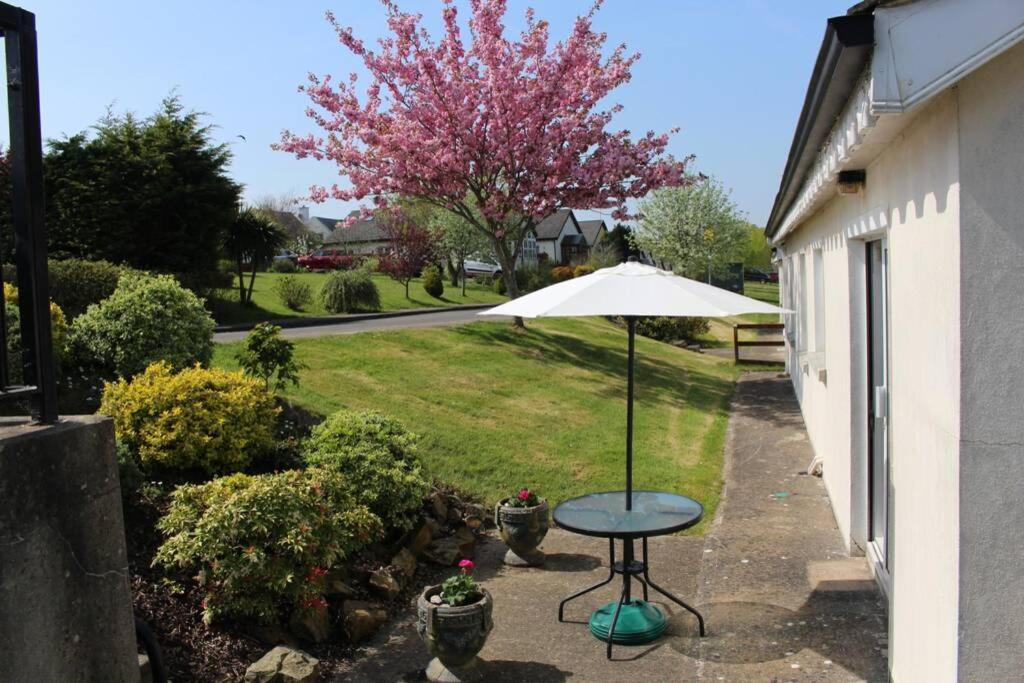 Sunny Bungalow Courtown Buitenkant foto