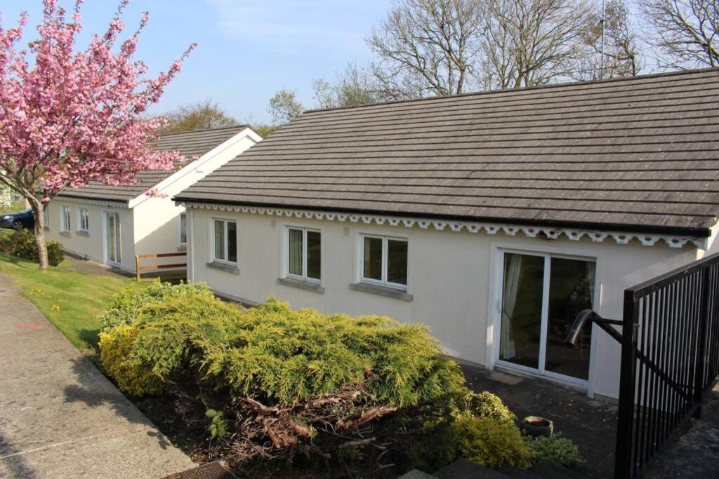 Sunny Bungalow Courtown Buitenkant foto